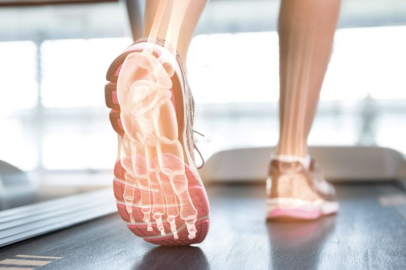 Illustration of the bones of the foot and lower leg as a person walks on a treadmill